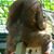 Ric Jones's profile image