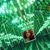 Chris McKay's profile image