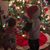 Brandi Ellis Chapman's profile image