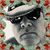 James Morris's profile image