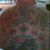 Michael Hutchins's profile image