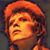 Sandy Bowiefan Hebenstreit's profile image