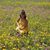 Cindy Turner's profile image