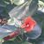 Jim Brady's profile image