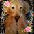 Lori Haggerty's profile image