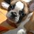 Cindy Nazzaro Halliburton's profile image