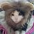 Nancy Robertson's profile image