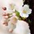 Naomi Hamel's profile image