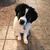 Paula Ariondo Zuckett's profile image