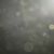 Hannah Listle-Duncan's profile image