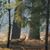 Julie Kneipp's profile image