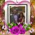 Shabnam Fani's profile image