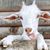 Jane Reichert Harmon's profile image