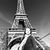 Suzin Cha Ishmon's profile image