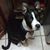 Ricardo Gennaro Gomez's profile image