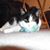 Sandy Schmidt Wilson's profile image