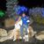 Christine Toothman's profile image