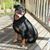 Doreen Marsters's profile image