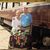 Theresa Marie Bunyak Stensgaard's profile image
