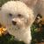 Guisela Macias's profile image