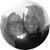 Melissa Martin Bresler's profile image