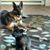 Trish Harris-Maynard's profile image