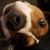 Jade Walsh's profile image
