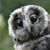 Amy Konkler's profile image