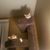 Nikki Karle's profile image