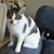 Carole Owens's profile image
