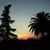 Carolyn Saltsman's profile image