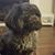 -Chad Lomax's profile image
