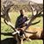 Kevin Kubis's profile image