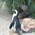 Jo Beth Ishee Moore's profile image