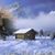Judy B. Hinman's profile image