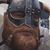 Luis Alberto Gonzalez's profile image