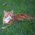 Sheri Zwaanstra's profile image