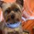 Joani Johnson-Hall's profile image