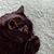 Linda Dorn's profile image