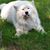 Rick Simard's profile image