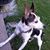 Nancy Simmons Bouc's profile image