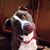 JeffreyandKimberly Kirschke Hall's profile image