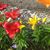 Wendy MacMillan Glon's profile image