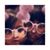 Farah Nasreen's profile image