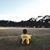 Greg Klepper's profile image