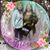 Joyce Brannon's profile image