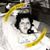 Margaret Scobey Austgen's profile image