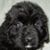 Kerry Sneddon's profile image