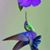 Amelia Perez Gongora's profile image