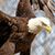 Jose Henriquez's profile image